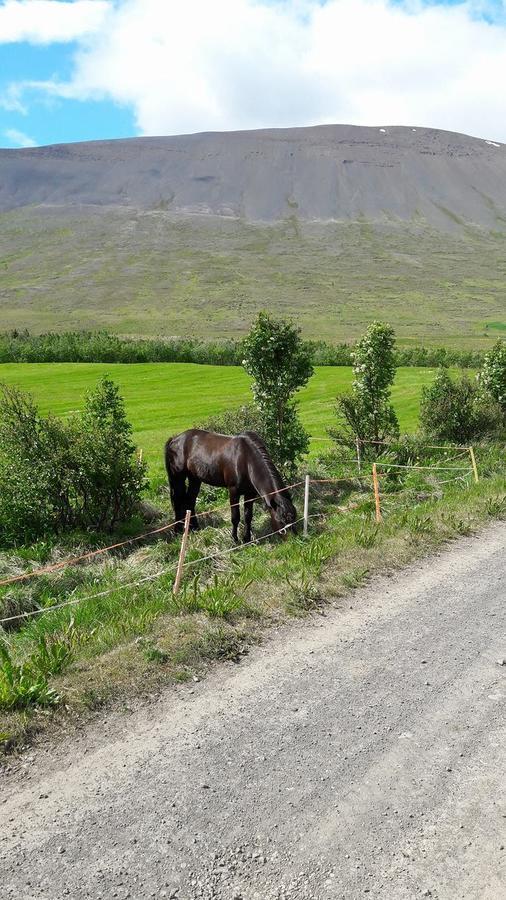 Glæsibær Bed and Breakfast Reynistadur Eksteriør billede